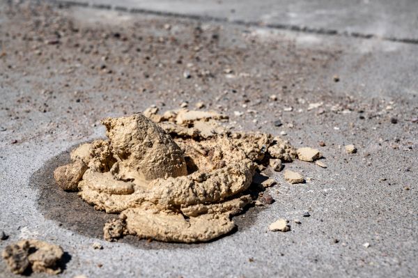 Cost of Driveway Slab Leveling in Ankeny